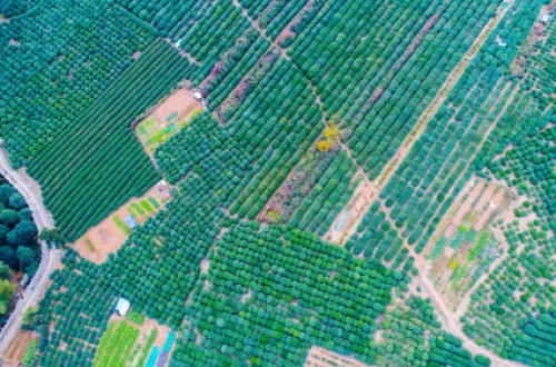 南昌考研app開發助力學子上岸