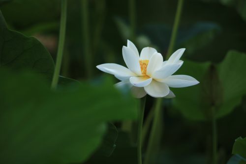 ERP管理系統