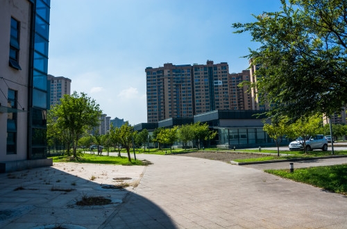 如何利用張家口小程序開發實現低成本高收益？